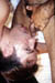 gay sex 08