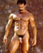 gay_muscles18